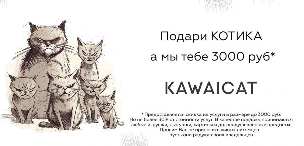 Kawaicat